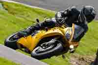 Lower Group Yellow Bikes